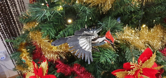 Festive Decoration Competition Winners!